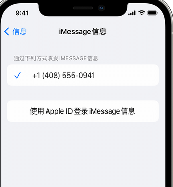 桥西apple维修iPhone上无法正常发送iMessage信息 