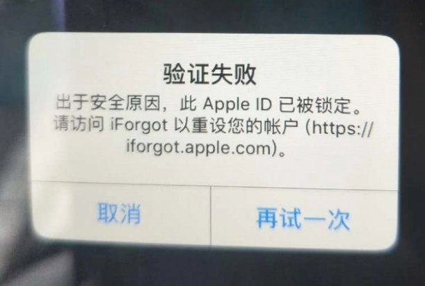 桥西iPhone维修分享iPhone上正常登录或使用AppleID怎么办 