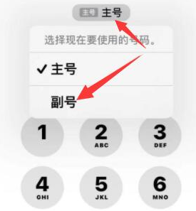 桥西苹果14维修店分享iPhone 14 Pro Max使用副卡打电话的方法 