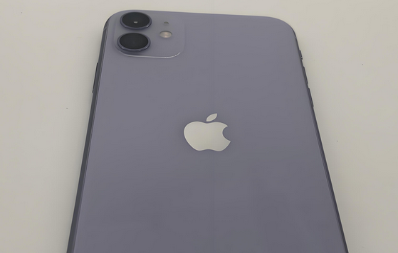 桥西苹果11系统维修分享iPhone11手机系统崩溃无法开机如何解决