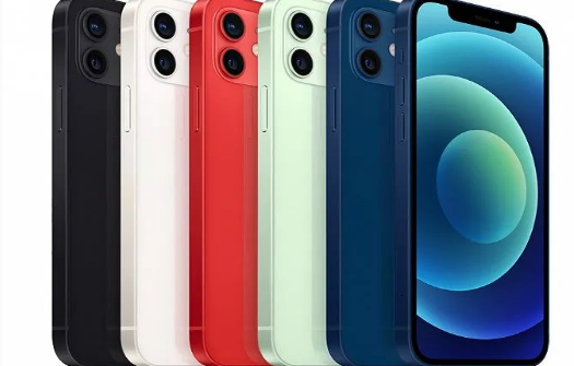 桥西苹果维修点分享iPhone12 Pro Max进水维修 